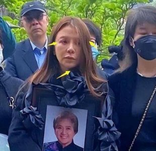 ​央视主持人朱迅：从艰难岁月到公益人生的坚韧旅程