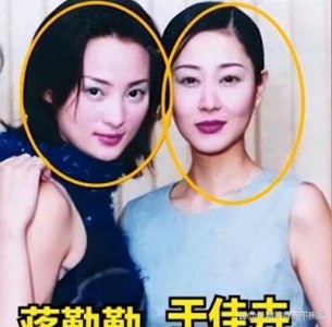 ​蒋勤勤婚史：揭秘当年插足闺蜜婚姻，被指小三的幕后真相