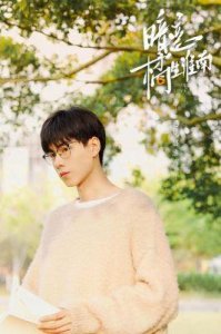​胡一天加盟《暗恋·橘生淮南》，振华三部曲你最爱哪部？