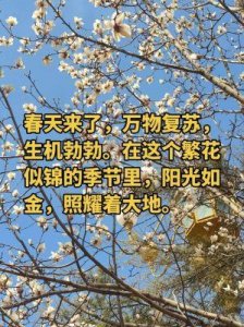 ​阳光照耀下，我迎接花香——歌名背后的含义令人惊叹！