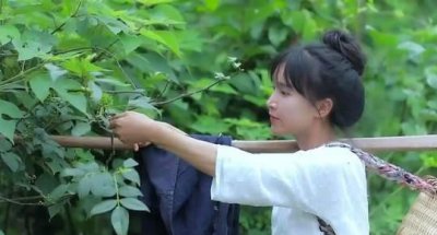 ​李子柒称资本真的是好手段，李子柒怎么不更新了