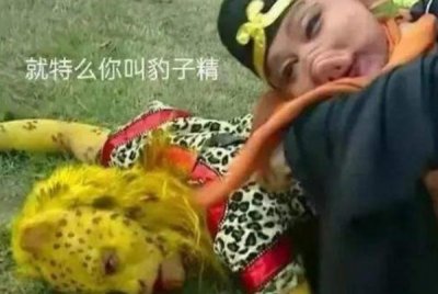 ​金钱豹是什么梗：具有招财旺财的寓意(源于西游记人物)