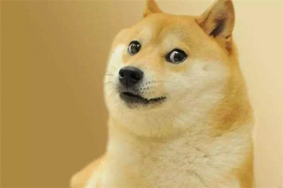 ​柴犬的祖先是什么