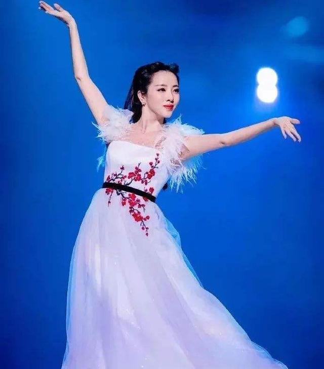 演员李思思个人资料简介（春晚主持人李思思婚后生活幸福吗）(6)